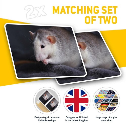 2 rechteckige Aufkleber 7,5 cm - süß grau Haustier Ratte frisst cool Geschenk #21417 - Bild 2 von 9