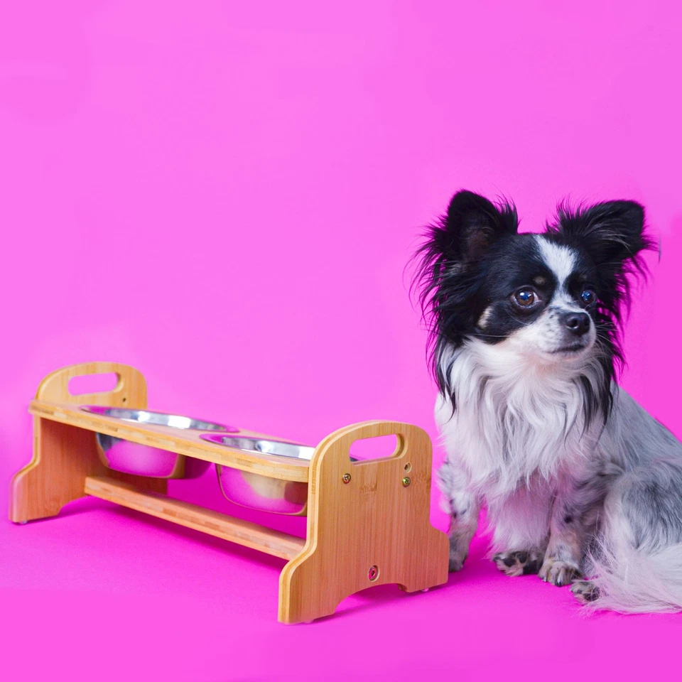 4 SCHALEN: Hundenapf kleine Hunde - Katzennapf erhöht 40x18x15 Bambus Futternapf - Bild 3 von 4