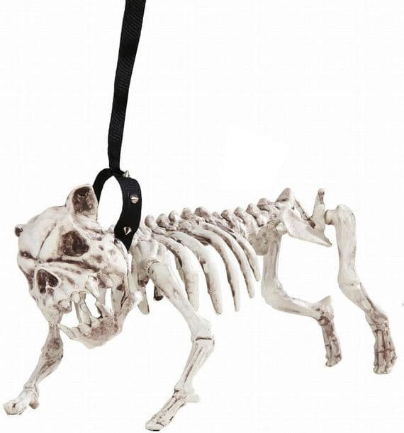 Halloween Skeleton Dog with Lead Spooky Decoration Prop