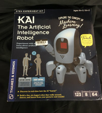 Kai: the Artificial Intelligence Robot  Explore Machine Learning  Build an Inn