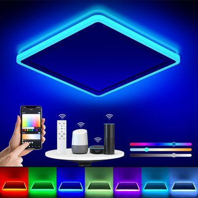 Smart LED Ceiling Light Wifi, 13In RGB Flush Mount Lighting Fixture with Remote,