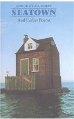 Conor O'Callaghan~SEATOWN AND EARLIER POEMS~SIGNED 1ST/DJ~NICE COPY