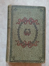 1885 Opening a Chestnut Burr by E.P. Roe HC The A.D. Porter Co, Decorative Cover