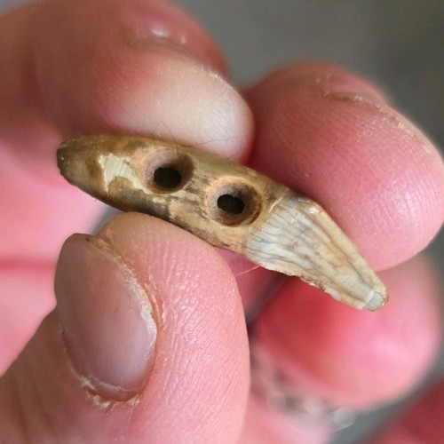 Handmade Pre-1400 Bone Bead Dual Holes Beige Brown Red Single