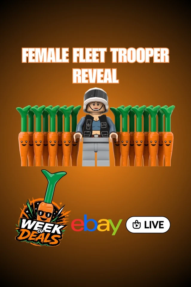 Female Fleet Trooper Reveal - Individuell bedruckte Minifiguren & Teile🥕