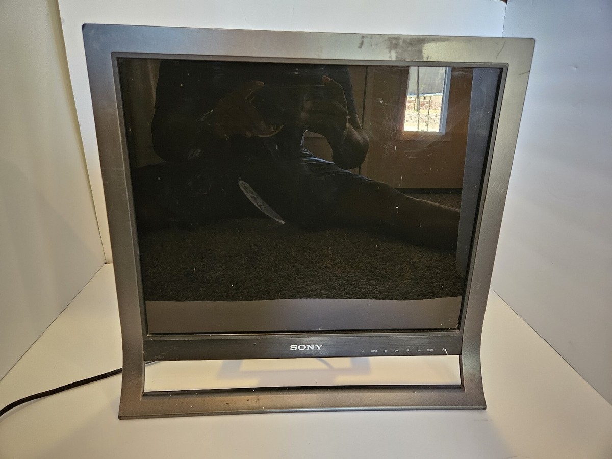 SONY SDM-HS95P ディスプレイ モニター s-l1200.jpg
