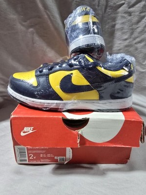 Nike dunk Low (Ps)