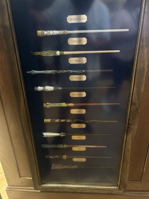 Epic Universe Cosme Acajor Exclusive Interactive Second Generation