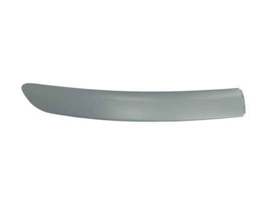 Right Front BLIC 6502-07-8109922P Trim/Protection Strip, bumper for TOYOTA