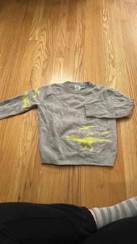 Gap Boys Dinosaur Sweater  - Foto 1 di 3