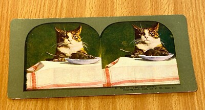 Americana Stereoview stereoscope card Antique #3 Rat On Toast Wierd 1898