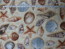 Seashell Sand Beach Fabric by Timeless Treasures 100 Cotton