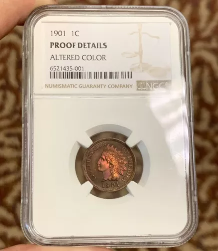 1901 P Proof Bronze Indian Head Cent Altered Color NGC Proof Details Coin