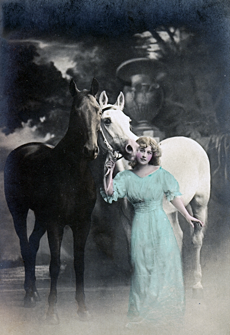 Glamour Lady Blue Dress horses 11 x 16