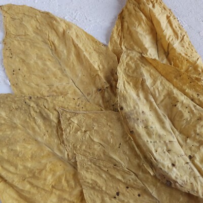 Deko Blätter ''Virginia GOLD'' 1 Kg  2 Klasse