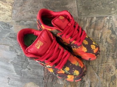 Size 5.5 - The Wizard of Oz x Nike Dunk SB Low Poppy Field