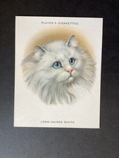 Player&rsquo;s Cigarettes Cats 1936 Large Card No 24 Long-Haired White Excellent