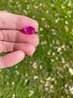 Certified Natural Pink Sapphire 7.90 TCW   Oval Shape — photo 3