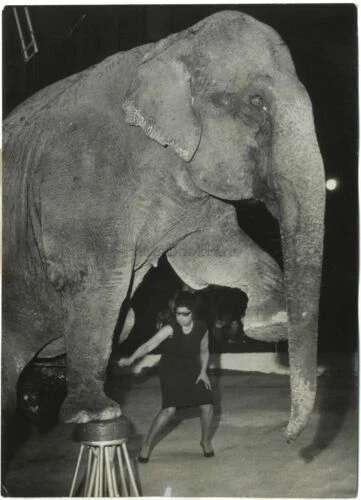 Photographies d'art du XXe siècle et contemporaines Joséphine Baker