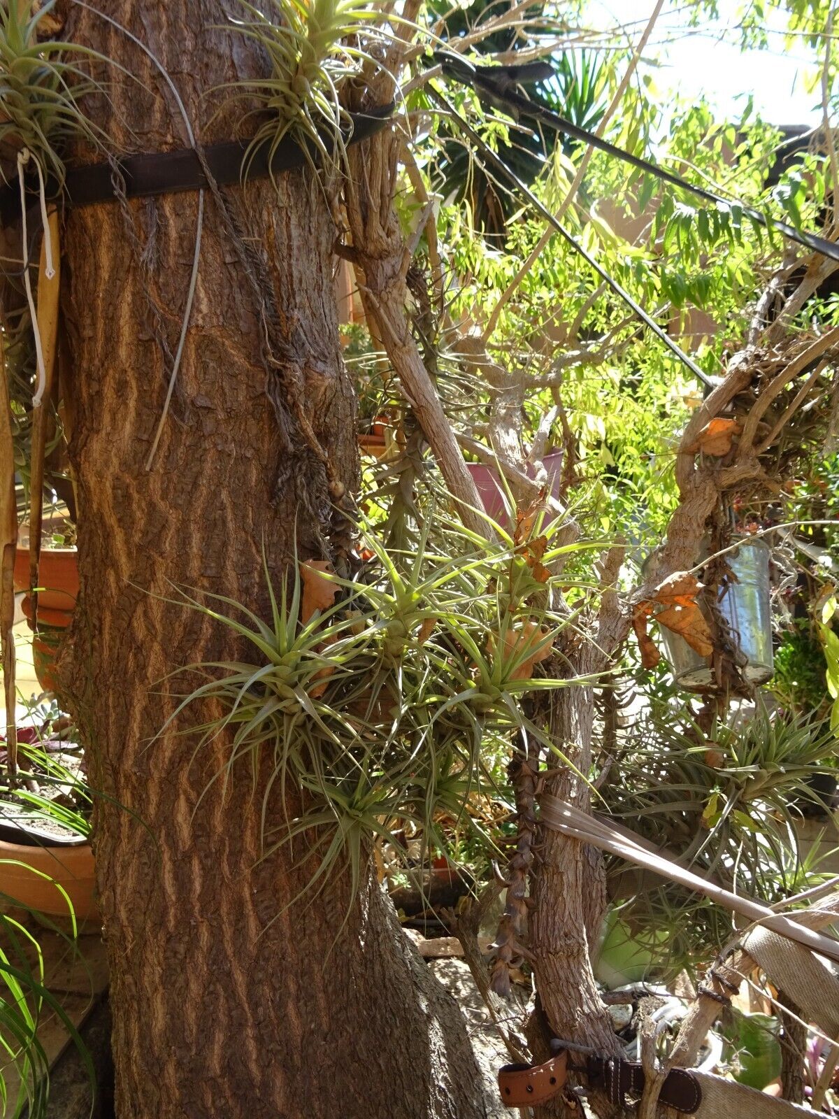 Picture 24 of 24