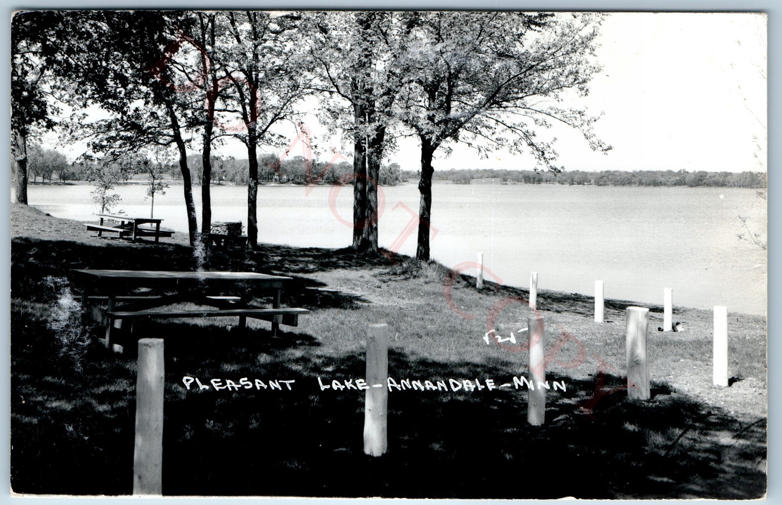 c1950s Annandale, Minn. Pleasant Lake RPPC Pearson Real Photo Postcard