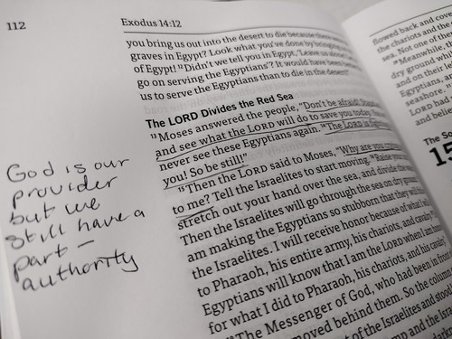 God’s Word Translation Deluxe Wide Margin Bible Leatherette - Picture 11 of 14
