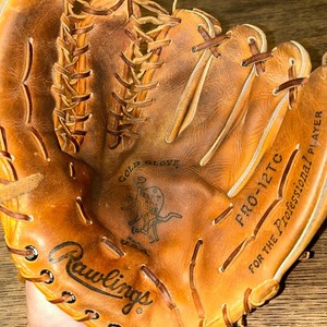 Rawlings Trapeze | eBay