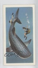 1974 Brooke Bond The Sea: Our Other World Tea Whale Shark #14 1b9b