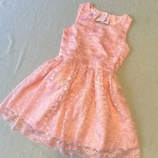 The Children's Place Girls Pink Floral Lace Sleeveless Dress 8 Fit Flare