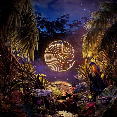Waves Rush In Under the Static (Vinyl) 12'' Album