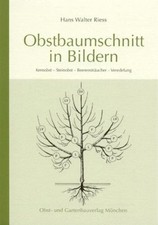 Obstbaumschnitt in Bildern Kernobst - Steinob...