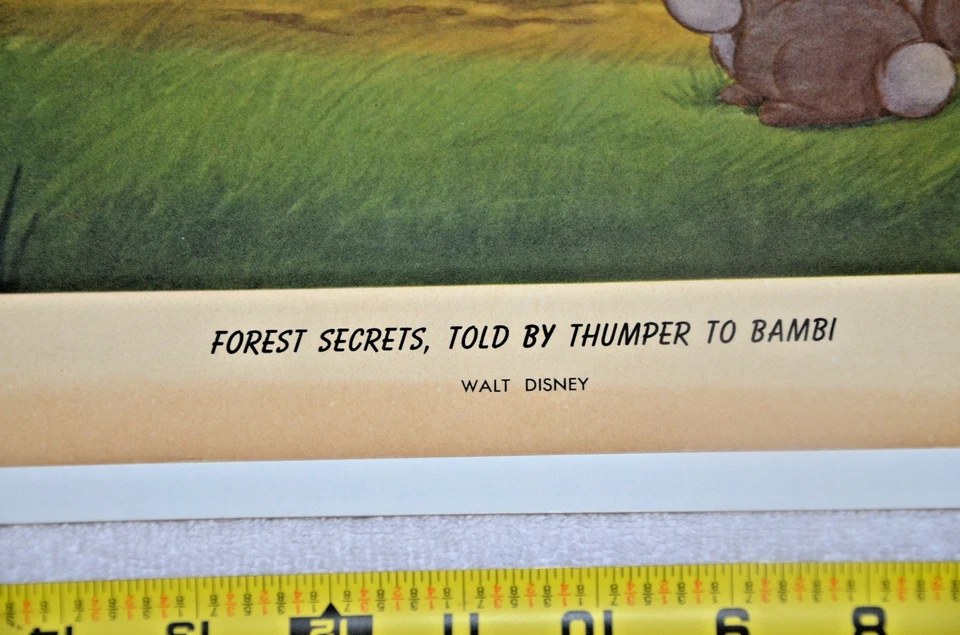 Винтажная литография 1940-е Forest Secrets Told by Thumper To Bambi 21 «X18» - Изображение 4 из 4