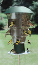 New Wild Bills Electronic Squirrel Proof Bird Feeder 12 Ports