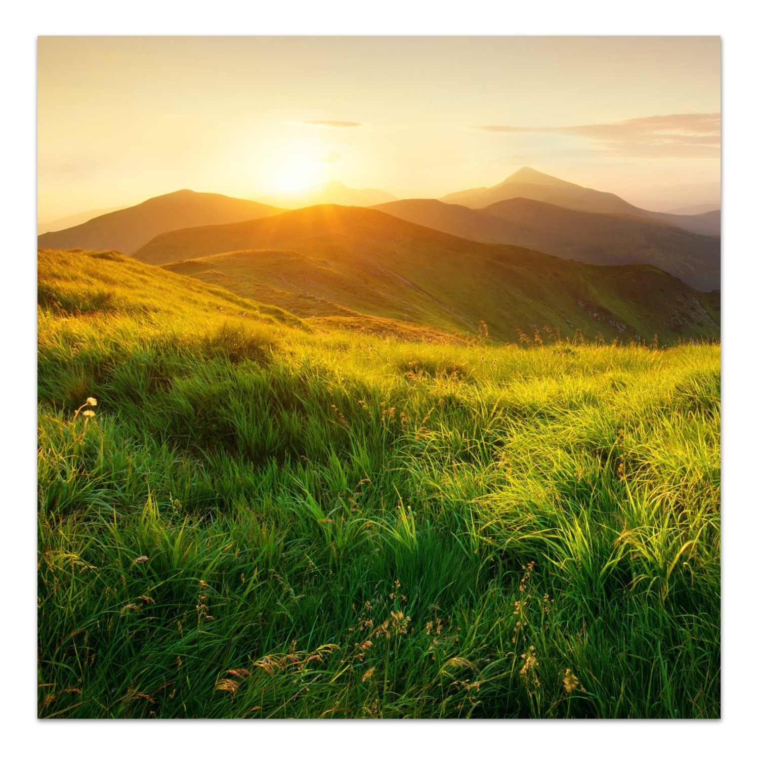 Immagine di di di vetro montagne nel periodo estivo di Dekoglas in V. Dimensioni di vetro pezzo unico con immagine 15dfab Immagine di di di vetro montagne nel periodo estivo di Dekoglas in V. Dimensioni di vetro pezzo unico con immagine 15dfab