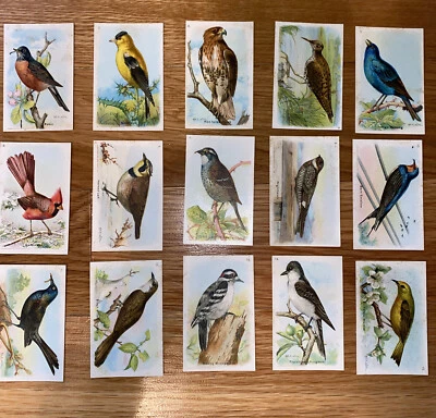 Useful Birds of America 5. Serie komplett 15 Vintage Karten Set Church & Dwight - Bild 1 von 2