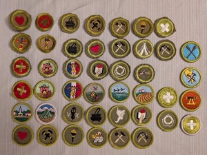 You Pick CHOOSE 1 Type C tan E khaki F G Merit Badge BSA Boy Scout vintage patch
