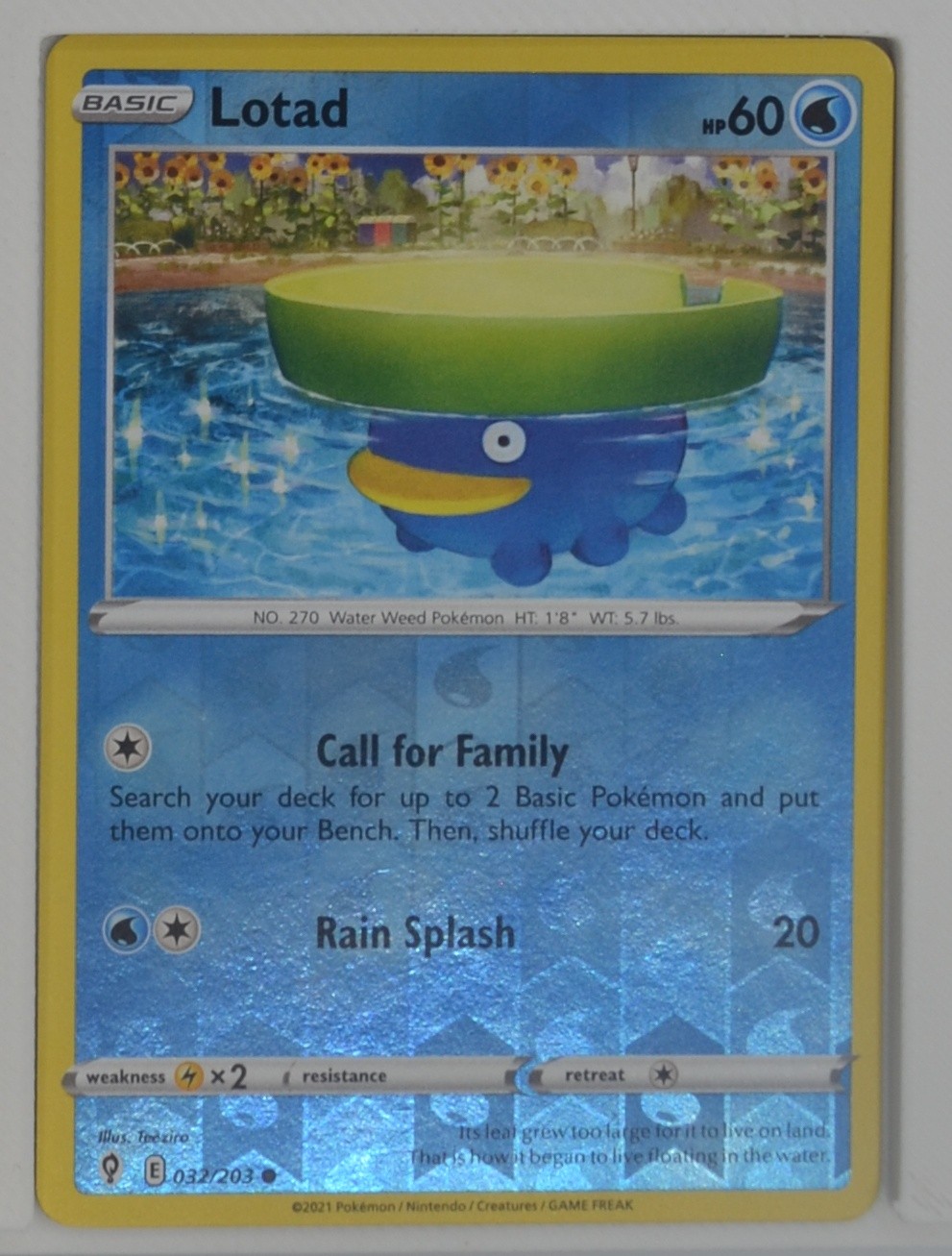 Lotad 032/203 Evolving Skies Reverse Holo Pokemon TCG