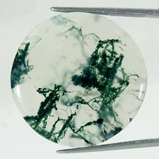 28.00Cts Natural Green Moss Agate Round Cabochon Loose Gemstone 26x4mm