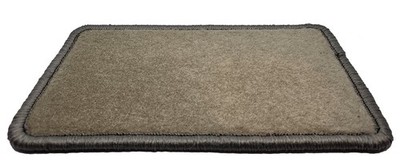 Basic Front Fußmatten Beige für Seat Ibiza III 3,5t H/B 2002-2008 Automatten