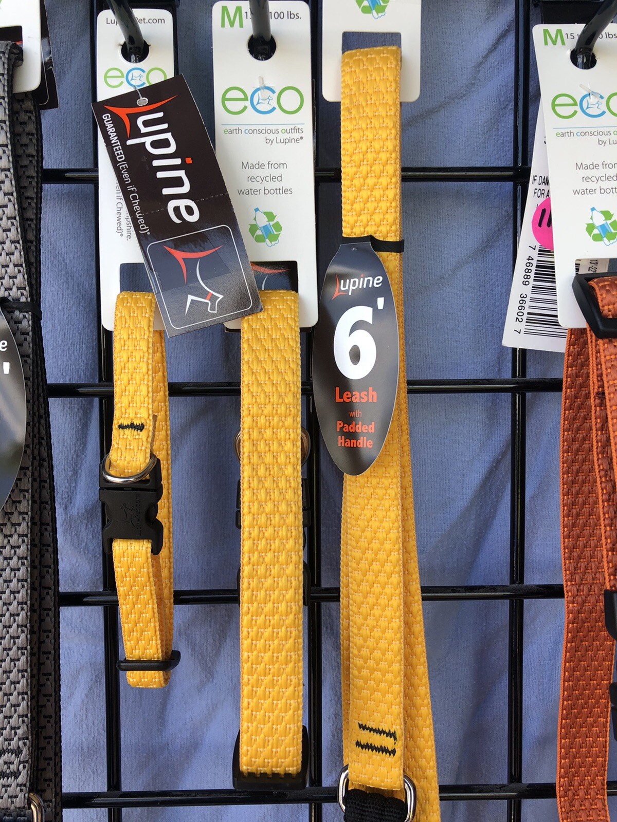 Nwt Dog Pet Collars & Leashes Lupine Brand Lifetime Guarantee ECO Line