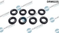 Dr.Motor Automotive DRM022S Dichtungsring, DüSenhalter FüR Audi, BMW