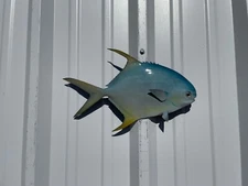 14" Pompano Half Mount Fish Replica Right Facing - Quick Production