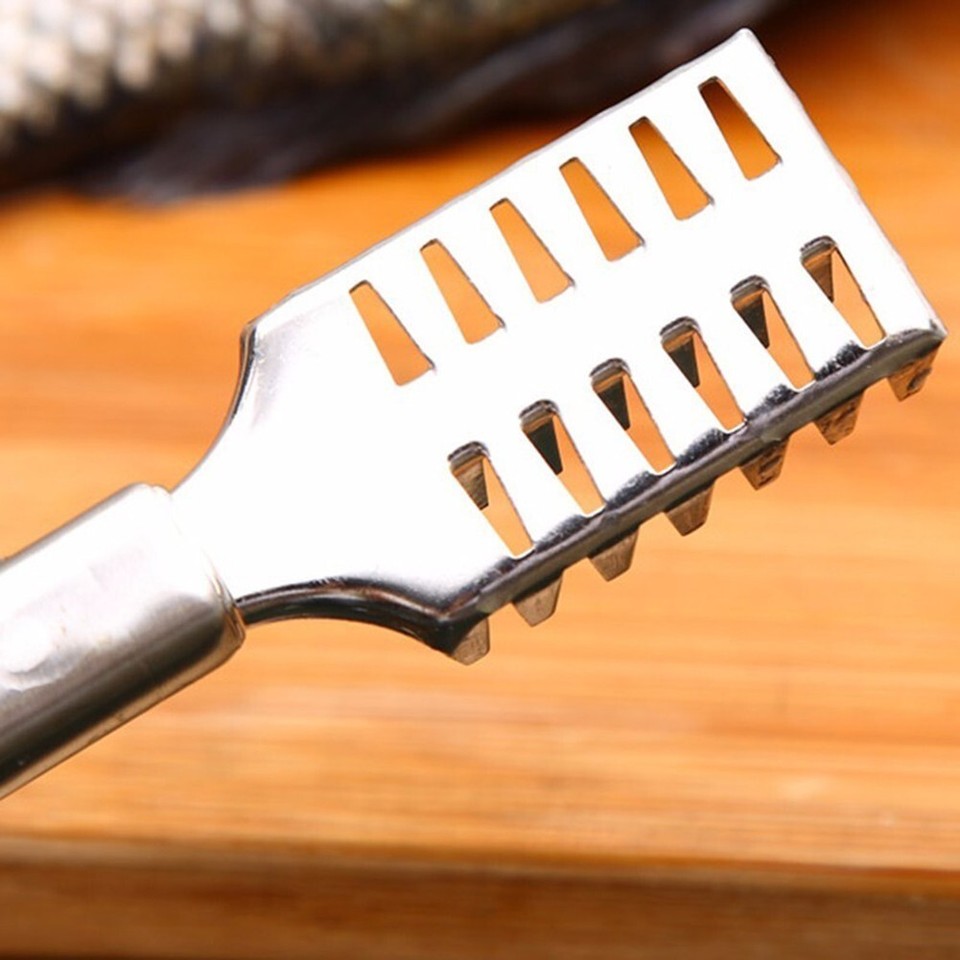 Professional Grade Stainless Steel Fish Scale Remover Scraper Reliable