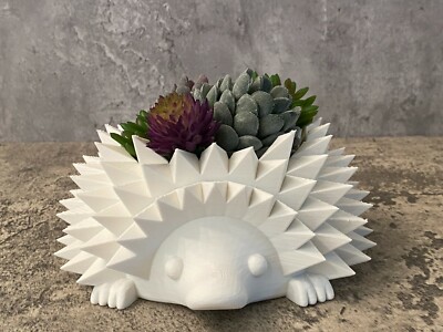 Adorable Hedgehog Planter | Vase | Succulent | Ships in 24 hours