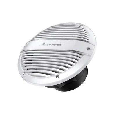 Pioneer 10'' 25cm Marine Grade Yacht Boot Subwoofer 900W Max 300W RMS TS ME100WC