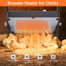 Chick Brooder Heater Plate 10"X10" Brooder Plate Chicks Adjustable Temperature