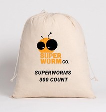 Bulk Superworms 300 Count Large Live Reptile Bird Food Feed set PCS