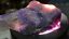 thumbnail 1  - Sugilite Gel Rough - Purple, Lavender, Fuschia  - 218.55ct / 43.71 grams