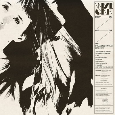 Wye Oak Every Day Like the Last: Collected Singles 2019-2023 (Vinyl) (UK IMPORT)