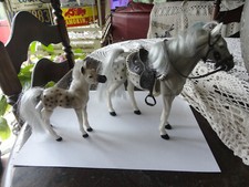Kid Kore spotted gray riding horse and colt